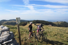 LESSINIA2013-1010
