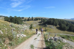LESSINIA2013-1016
