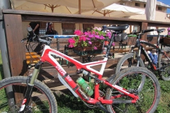 LESSINIA2013-1017