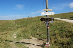 LESSINIA2013-1019
