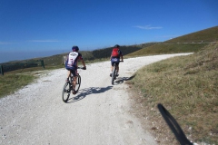 LESSINIA2013-1024