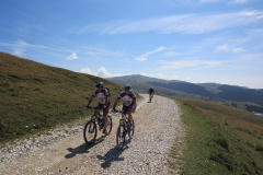 LESSINIA2013-1026