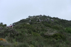 LIGURIA13-1185
