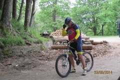 CASENTINO2014 (1008)