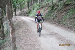 CASENTINO2014 (1009)