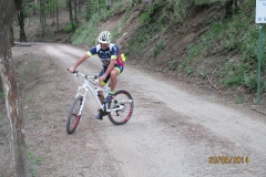 CASENTINO2014 (1011)
