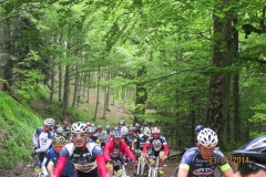 CASENTINO2014 (1014)