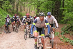 CASENTINO2014 (1017)