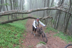 CASENTINO2014 (1106)