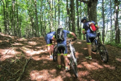 CASENTINO2014 (1176)
