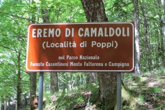 CASENTINO2014-1357