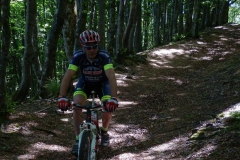CASENTINO2014-1469