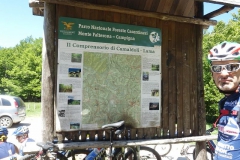 CASENTINO2014-1484