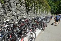 CASENTINO2014-1493