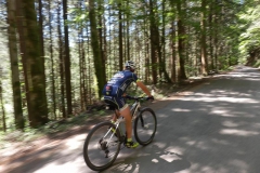CASENTINO2014-1495
