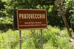 CASENTINO2014-1496