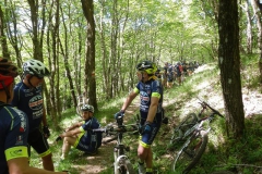 CASENTINO2014-1499