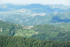 CASENTINO2014-1501