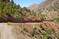 MAROCCO2014-1053