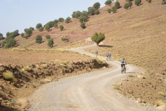 MAROCCO2014-1082