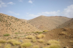 MAROCCO2014-1083