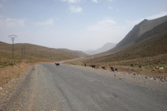MAROCCO2014-1085
