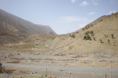 MAROCCO2014-1087