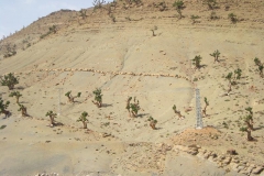 MAROCCO2014-1093