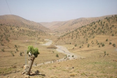 MAROCCO2014-1097