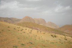 MAROCCO2014-1119