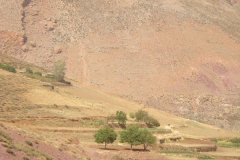 MAROCCO2014-1123