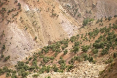 MAROCCO2014-1136