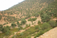 MAROCCO2014-1140