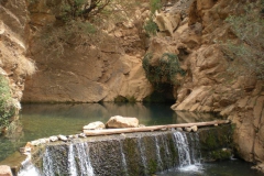 MAROCCO2014-1166
