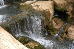 MAROCCO2014-1167