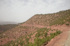 MAROCCO2014-1168