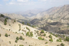 MAROCCO2014-1189
