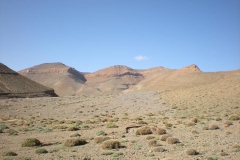 MAROCCO2014-1209