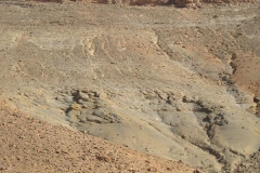 MAROCCO2014-1210