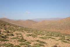 MAROCCO2014-1222