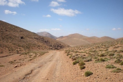 MAROCCO2014-1223
