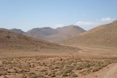 MAROCCO2014-1226