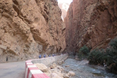 MAROCCO2014-1279
