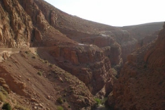 MAROCCO2014-1281