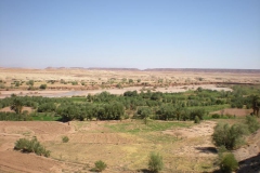 MAROCCO2014-1290