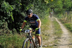 CUSTOZA-2015-1024