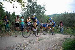 CUSTOZA-2015-1095