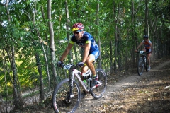 CUSTOZA-2015-1151