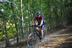 CUSTOZA-2015-1165