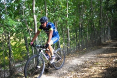 CUSTOZA-2015-1170